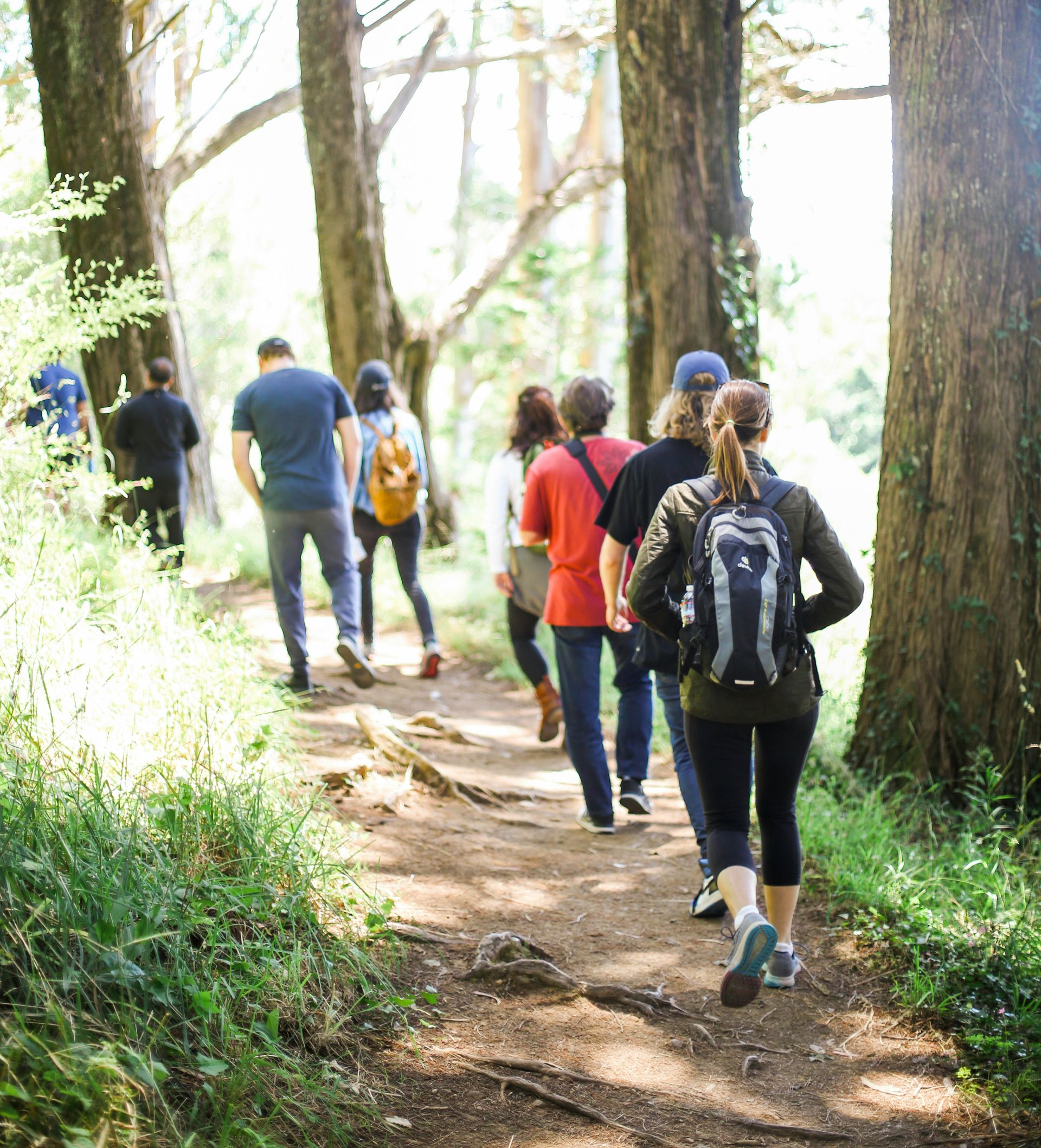 Kitera Dent / Unsplash Menschen beim Wandern durch einen sonnigen Wald, typischer Natururlaub in Bayern.