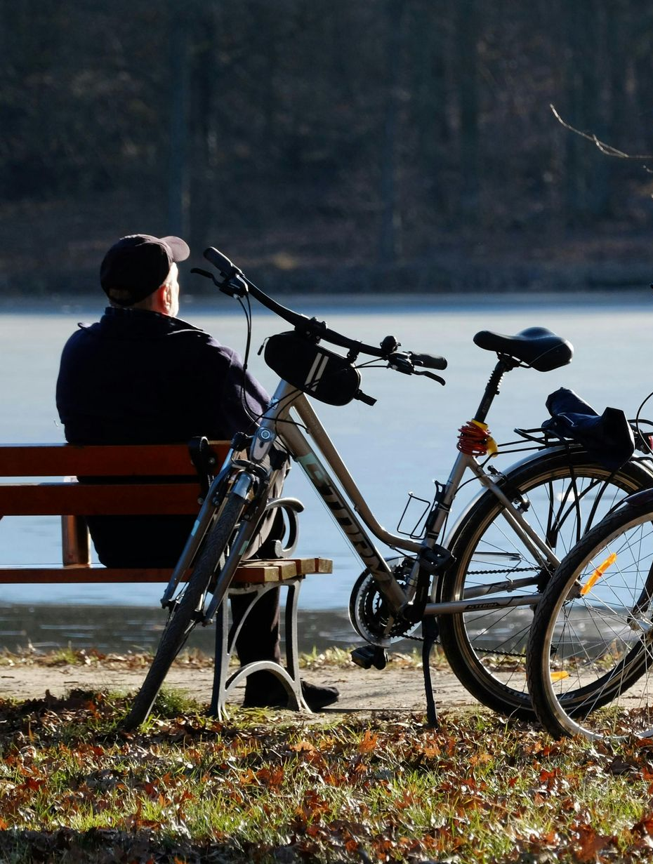 Hund mit rosa Geschirr läuft am Ufer eines Sees entlang.