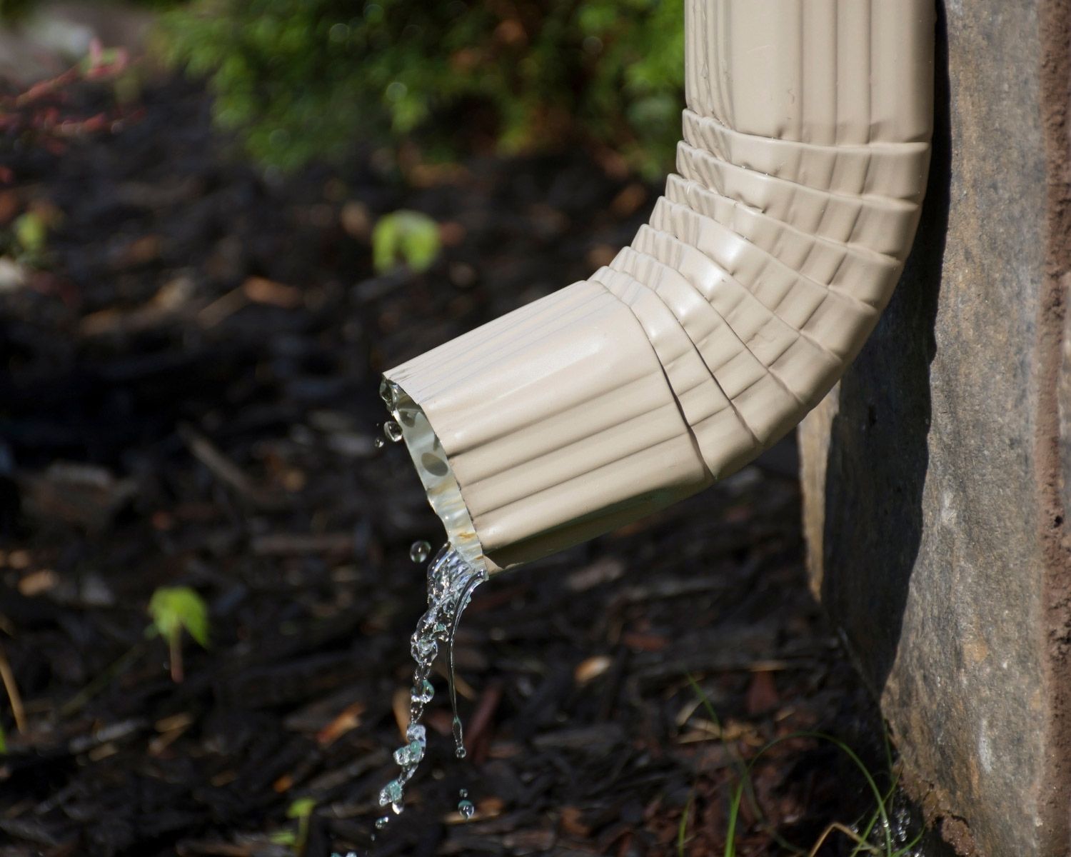 Beige rain gutter pouring water onto dark mulch in a yard.