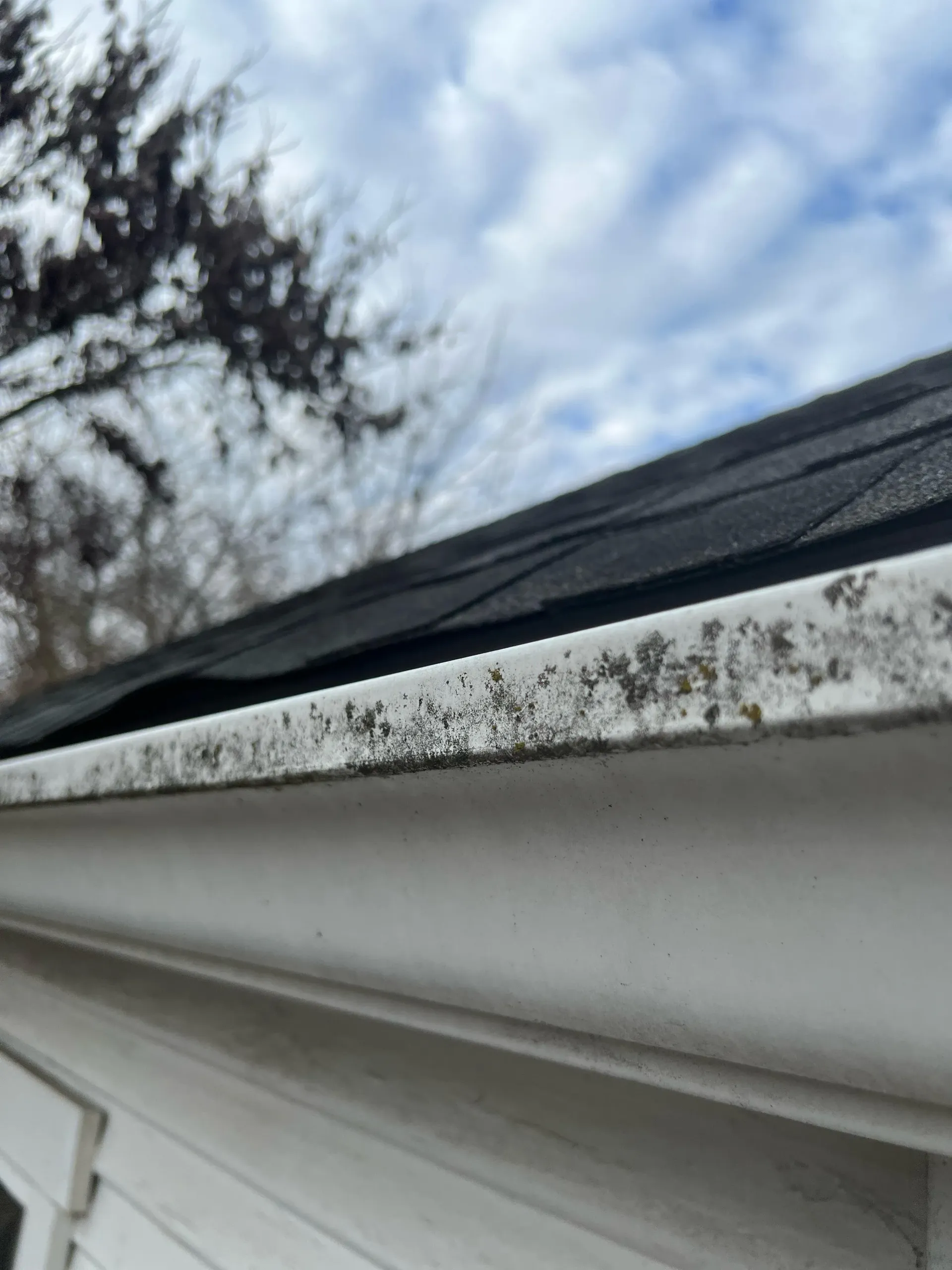 White house gutter with black staining along the roof edge against a cloudy sky.
