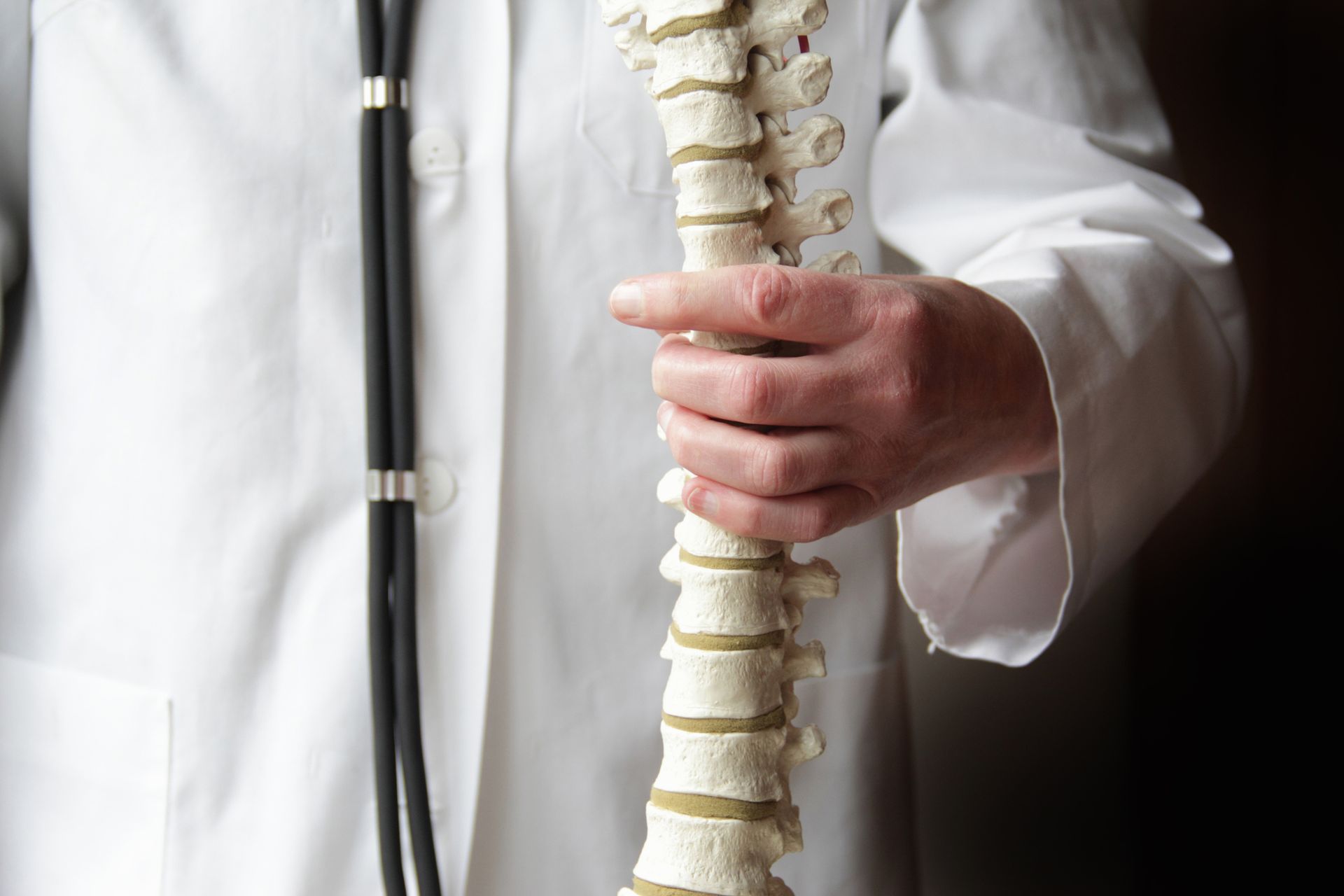 A doctor is holding a model of a spine with a stethoscope around his neck.