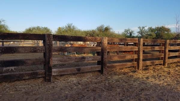 Wooden fence in a field, with a blue sky and trees in the background.