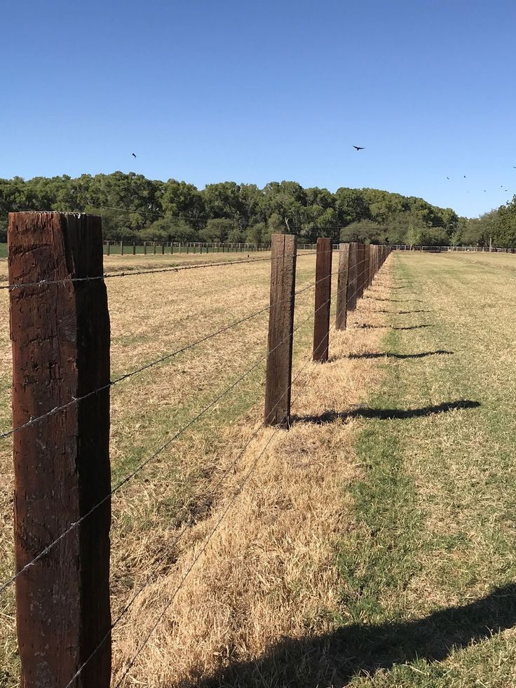 A rustic fence with wooden posts stretches across a grassy field toward a treeline under a blue sky.