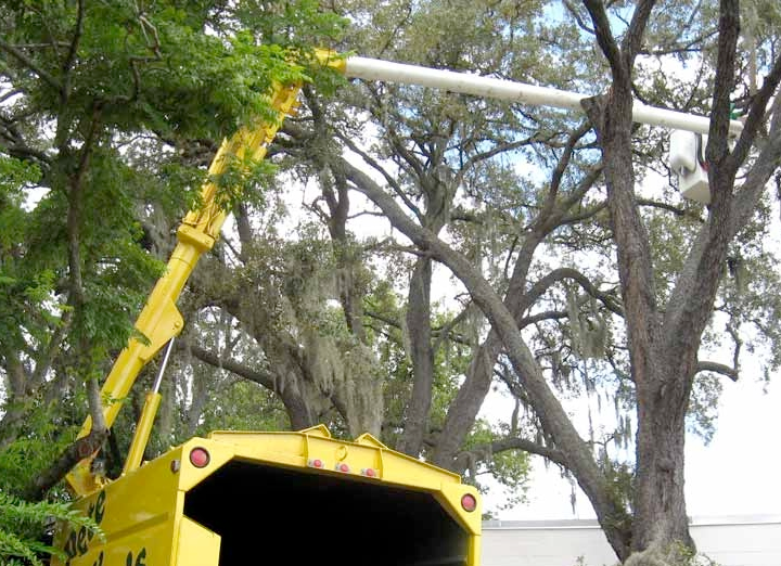 a yellow truck is cutting a tree with a crane .