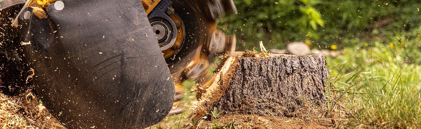 A person is using a machine to remove a tree stump.