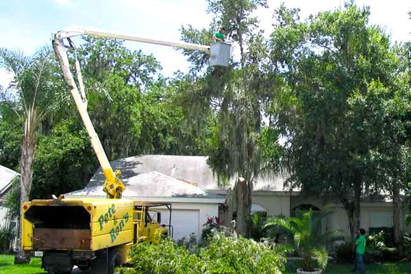 a man in a bucket is cutting a tree in front of a house .