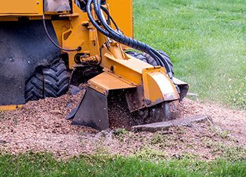 a yellow stump grinder is cutting a tree stump in the grass .