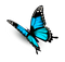 icona farfalla