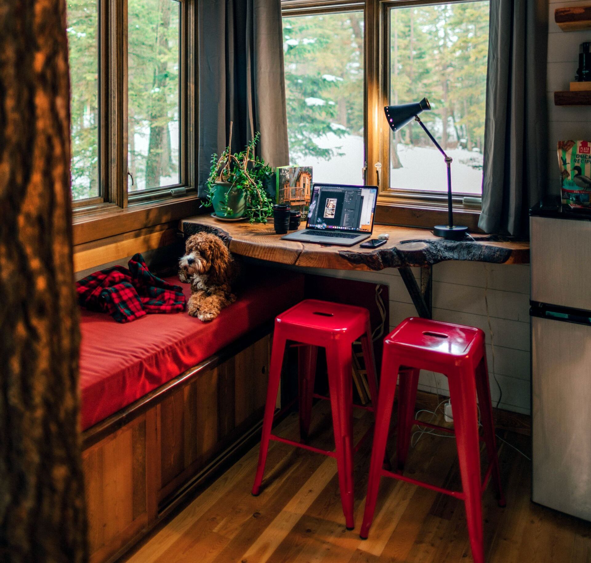 Cozy cabin interior with dog on bench, desk with laptop, red stools, and snowy outdoor view.