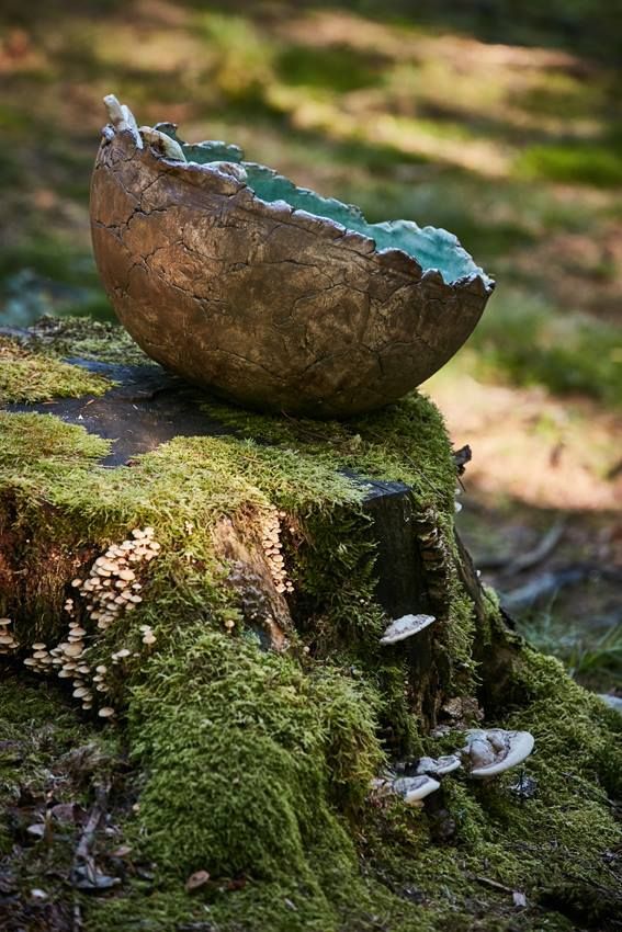Auf einem moosbedeckten Baumstumpf steht eine Schüssel.
