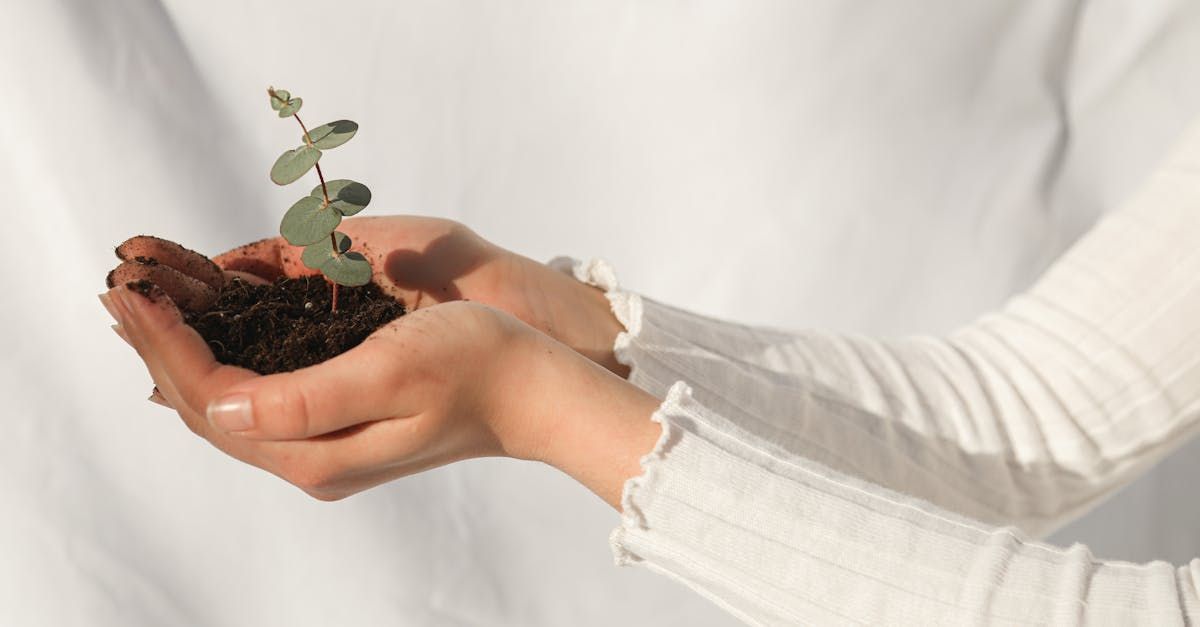 老闆洗衣  bosslaundry