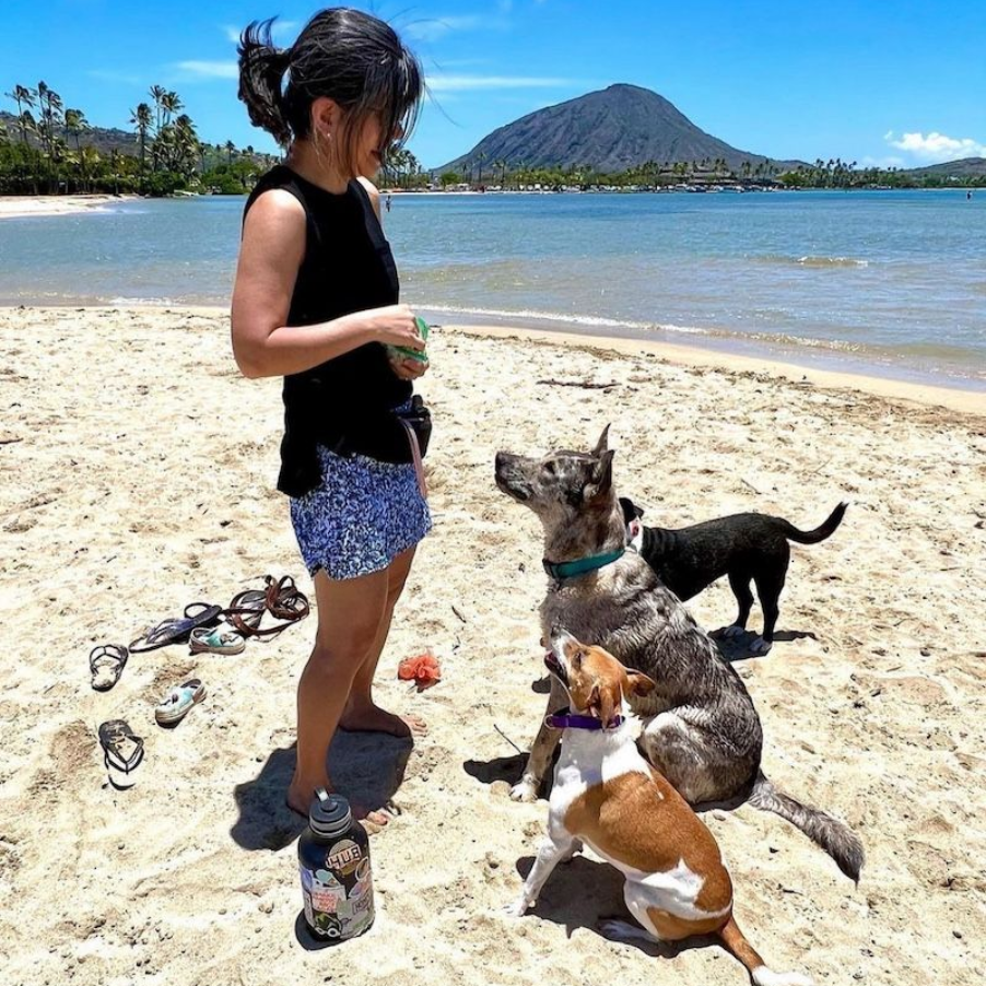 Woman with dogs on a sunny beach, holding a drink. Mountain and ocean in the background.