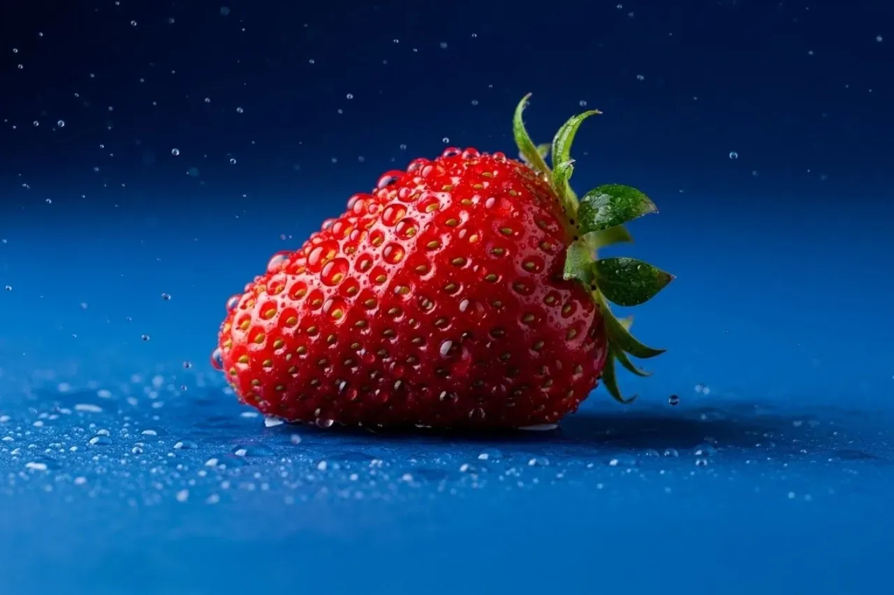 Morango fresco com gotas de água sobre fundo azul.