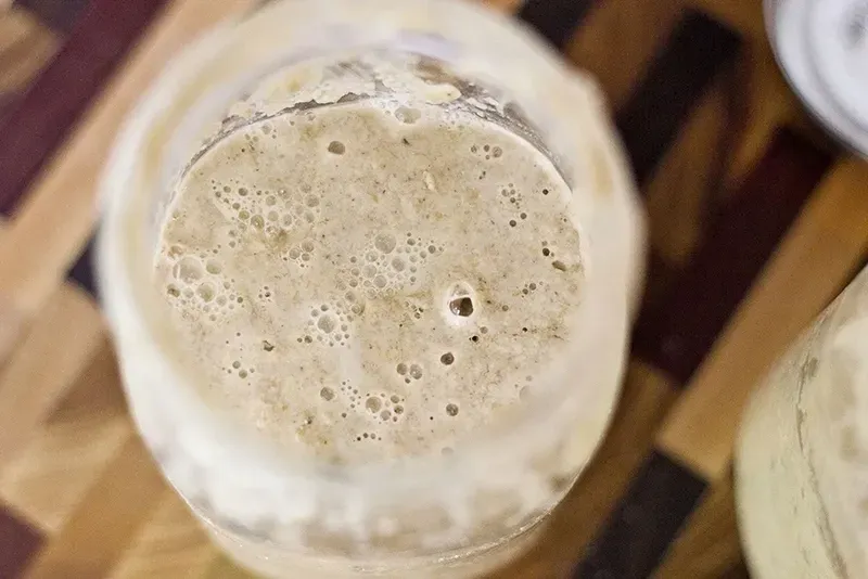 Fermento natural: como produzir e cuidar do seu?