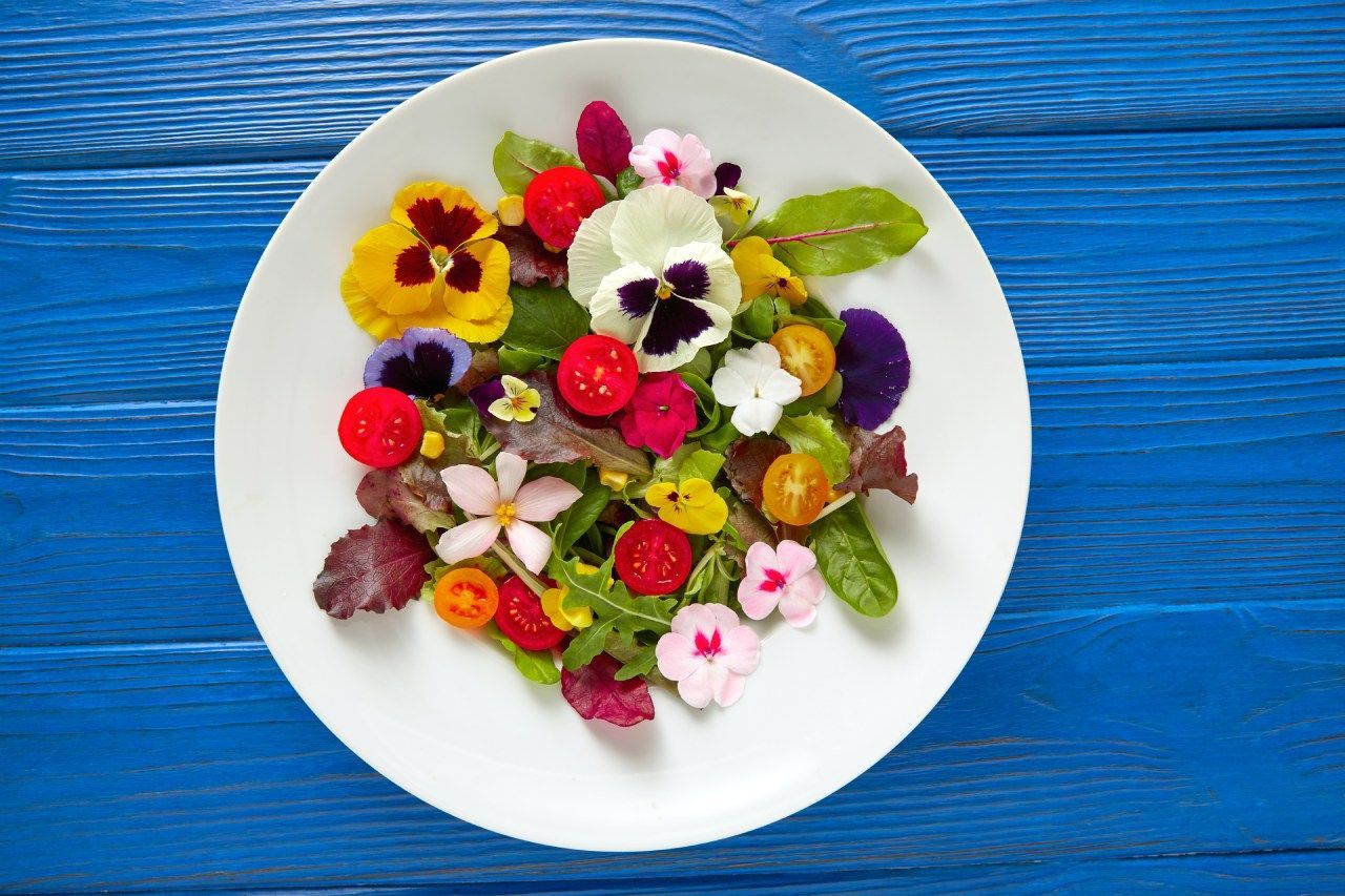 Um prato branco coberto com flores e vegetais sobre uma mesa de madeira azul.