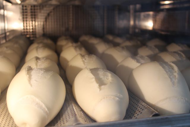 Um monte de ovos brancos estão em uma bandeja no forno