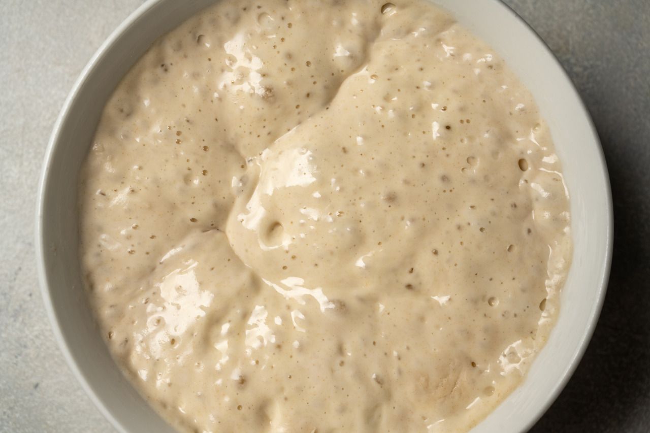 tigela com poolish já fermentado