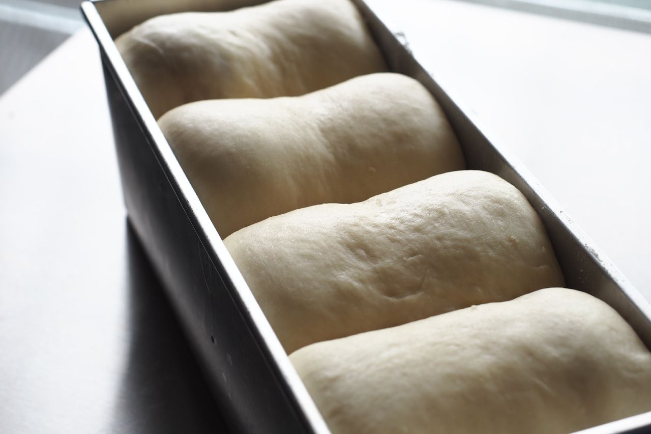 massa de pão fermentando em forma
