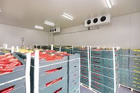 a large warehouse filled with crates of fruit and vegetables. Industrial Cold Storage