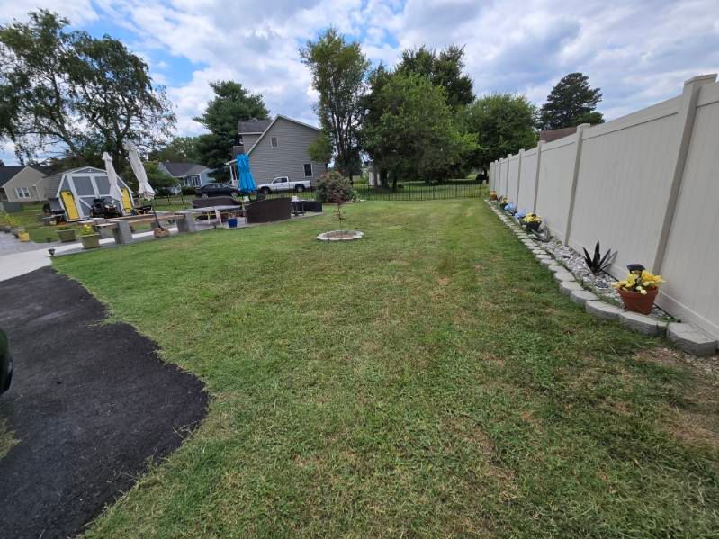 A backyard with a fence and a lot of grass