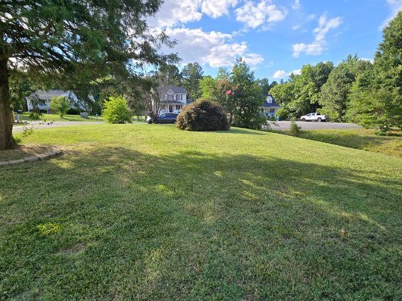 A lush green field with trees and a house in the background.