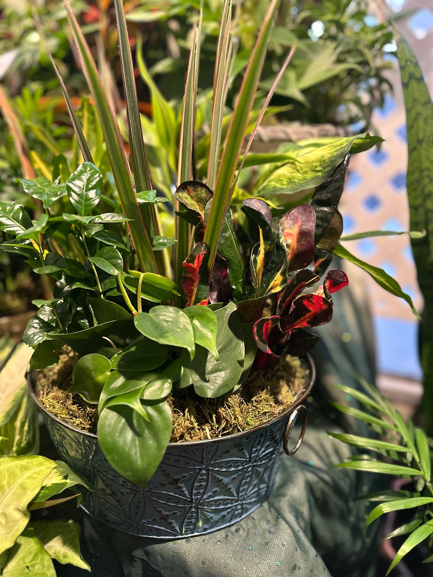 A basket filled with lots of green plants is sitting on a table.