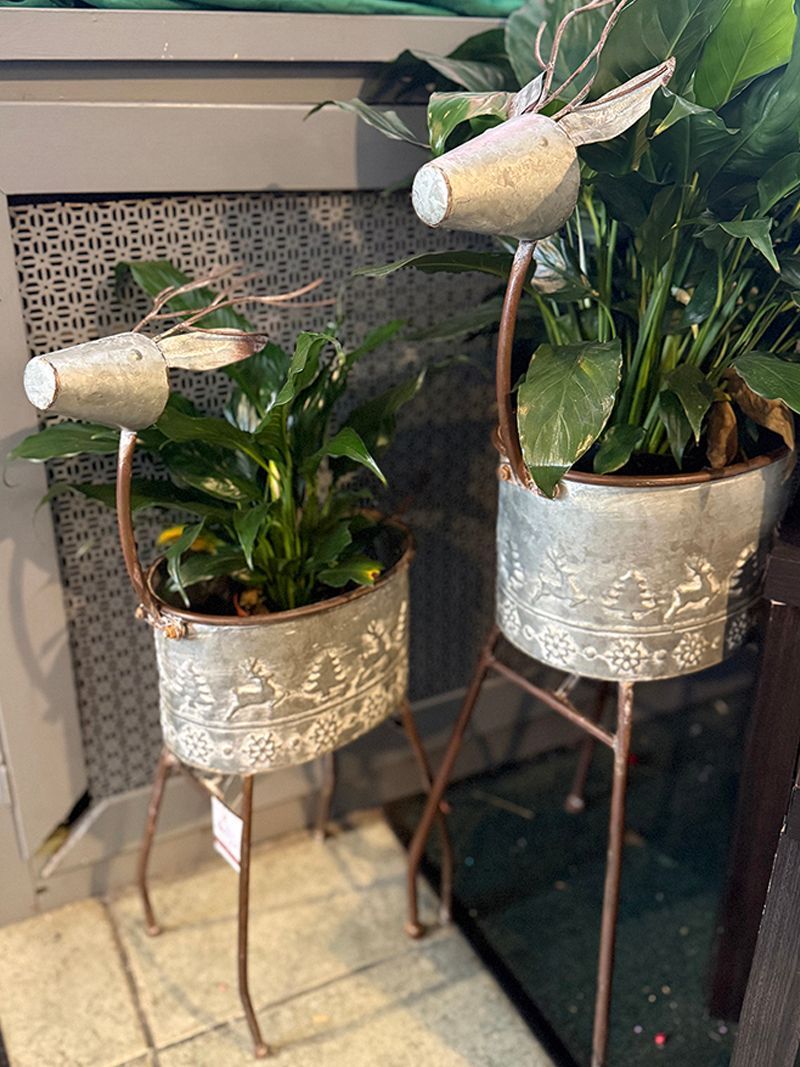 A group of potted plants sitting on top of a table.