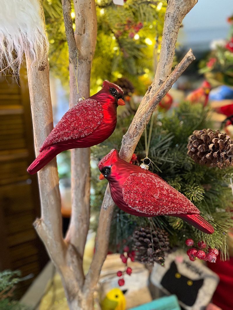 Still life drawings of various objects, arranged on a blue surface near a window, created by Amy's daughter.
