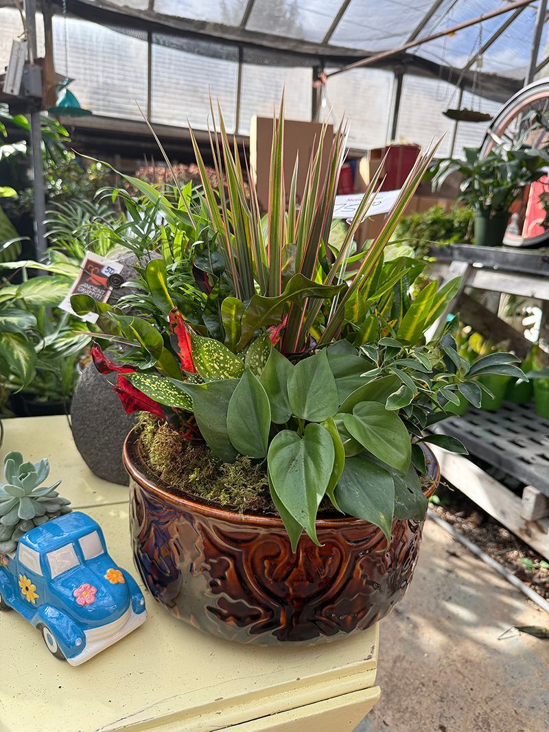A brown glazed ceramic pot filled with a variety of green plants and a small red flower.