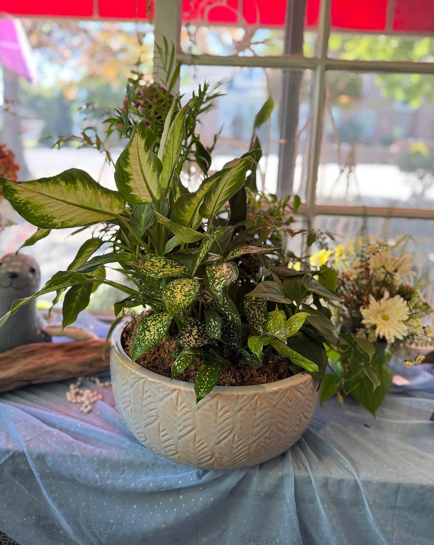 A ceramic bowl planter with varied green foliage and white accents on a blue cloth.