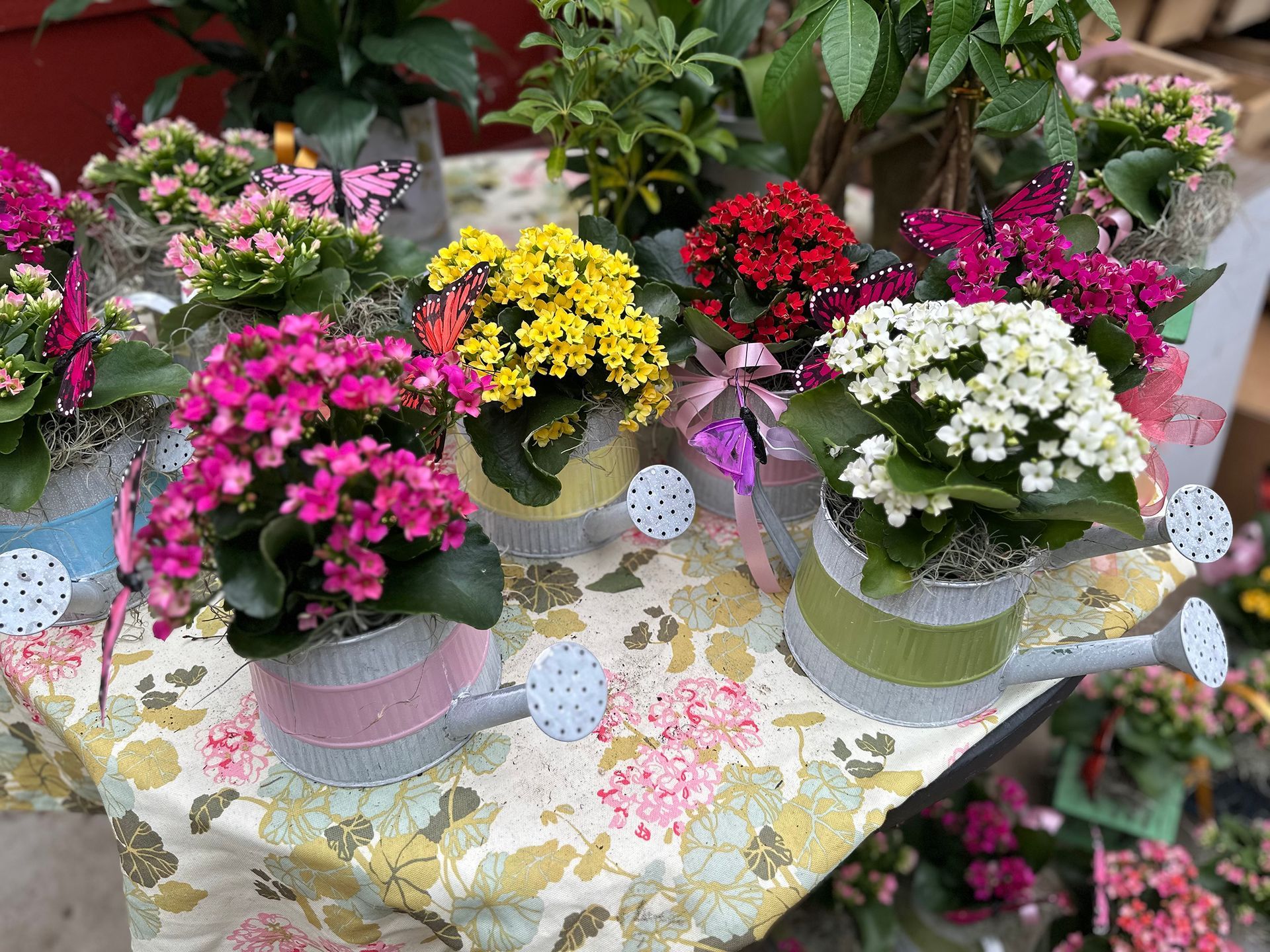 A table topped with watering cans filled with flowers.