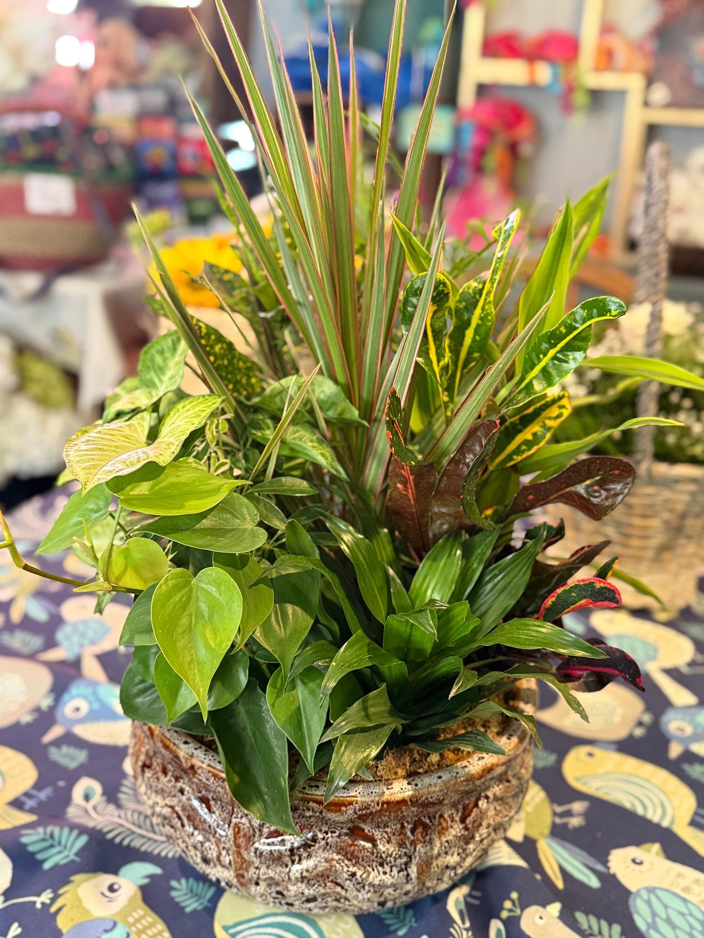 A mixed plant arrangement in a textured brown pot, featuring various green and red-tinged leaves.