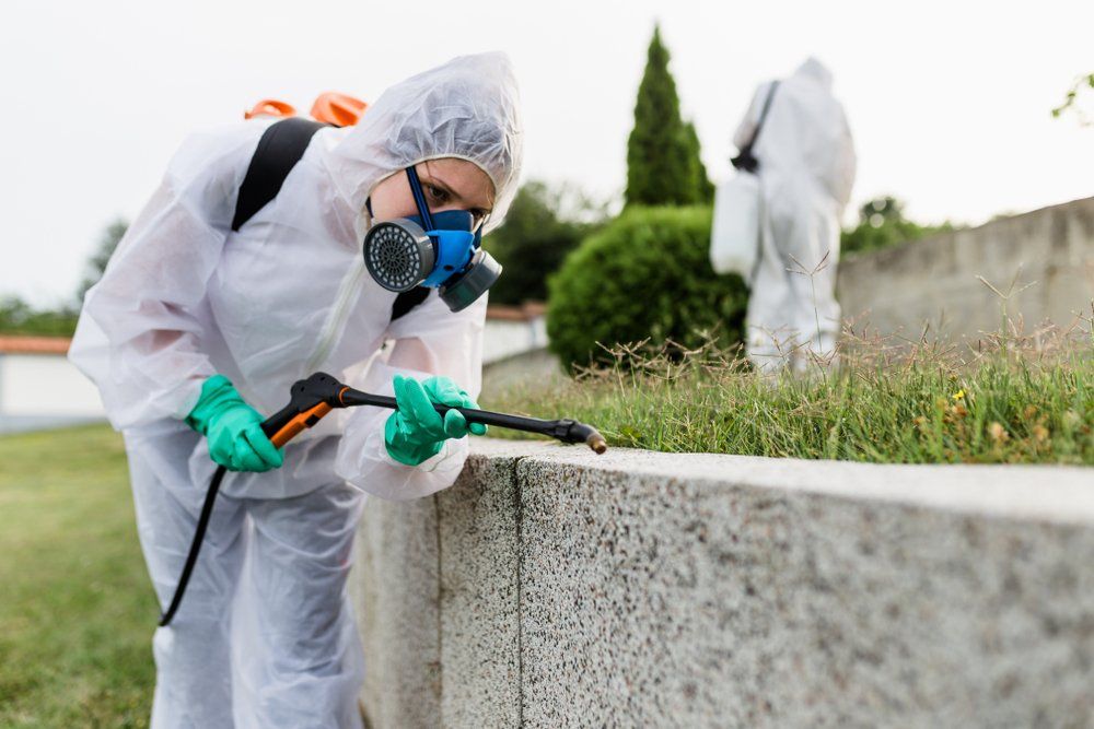 Pest control near me