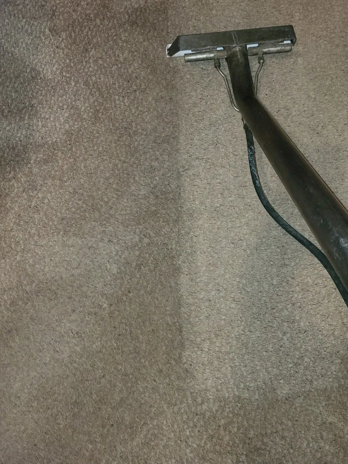 Carpet being cleaned with a machine; one side is clean, the other is dirty.