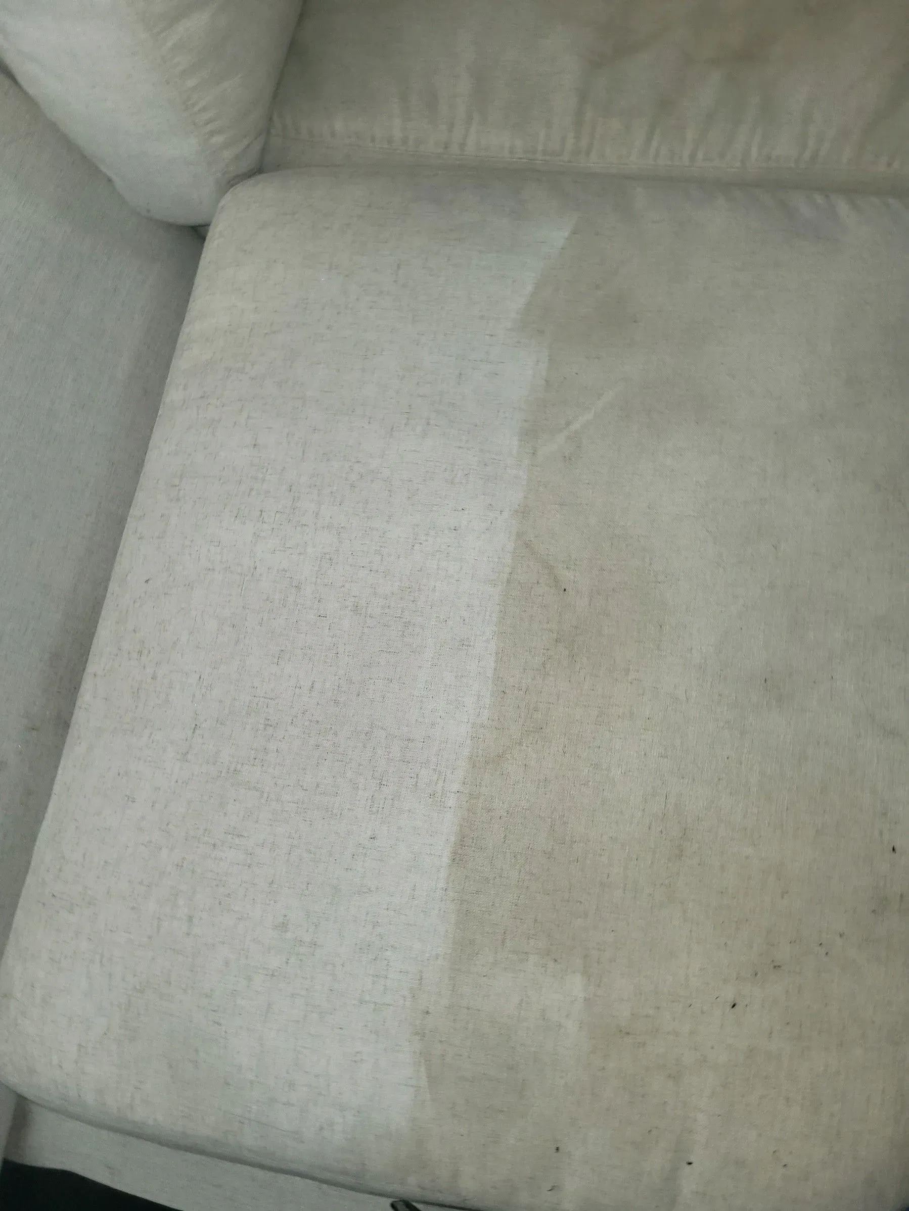 A  sofa cushion with a distinct clean strip on the left side, showing contrast between cleaned and dirty sections.