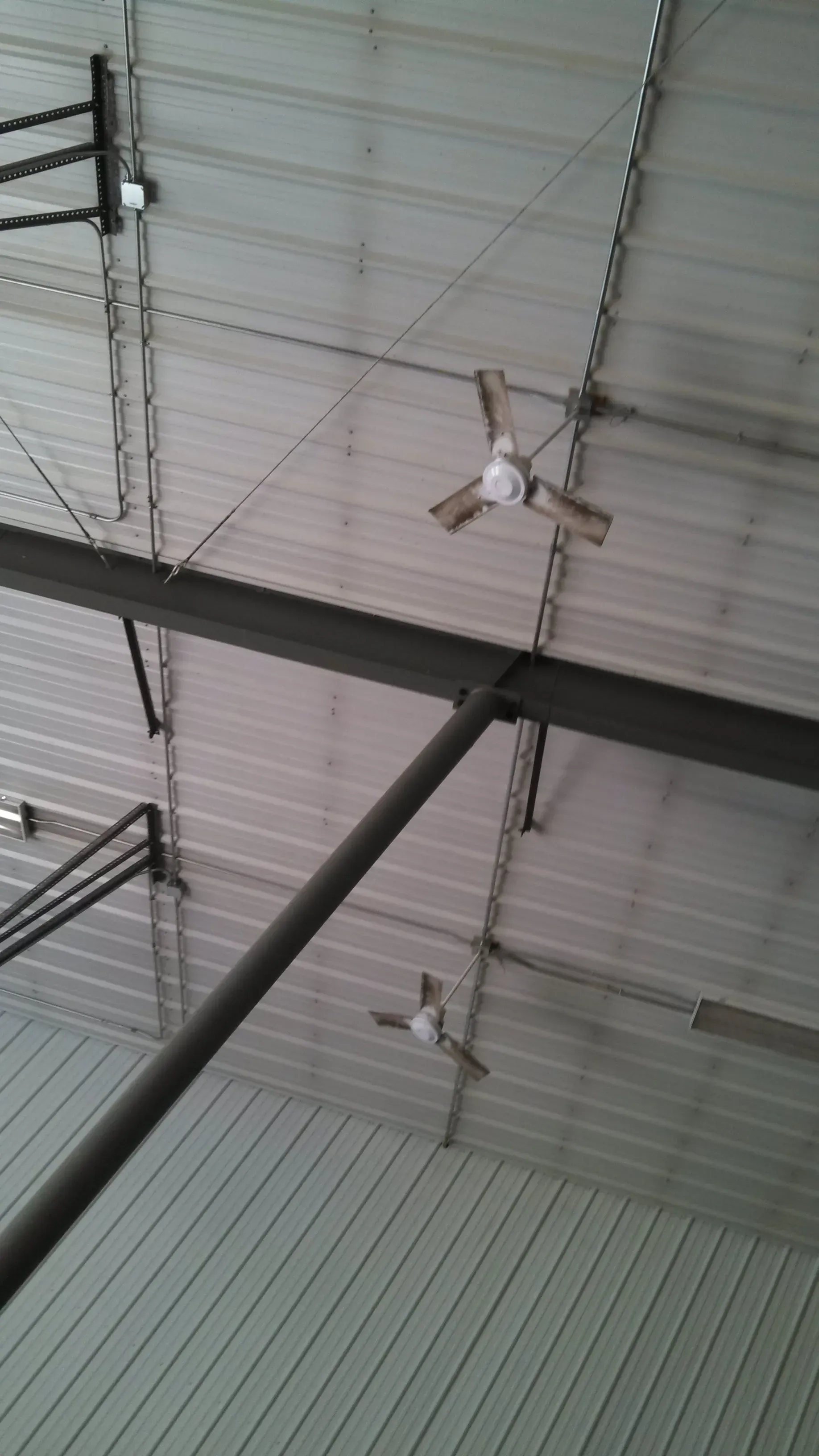 Steel beam ceiling with two ceiling fans.