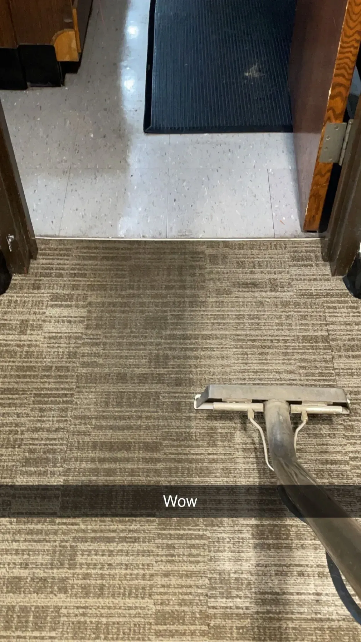 Carpet being cleaned with a vacuum cleaner, revealing a clean strip.