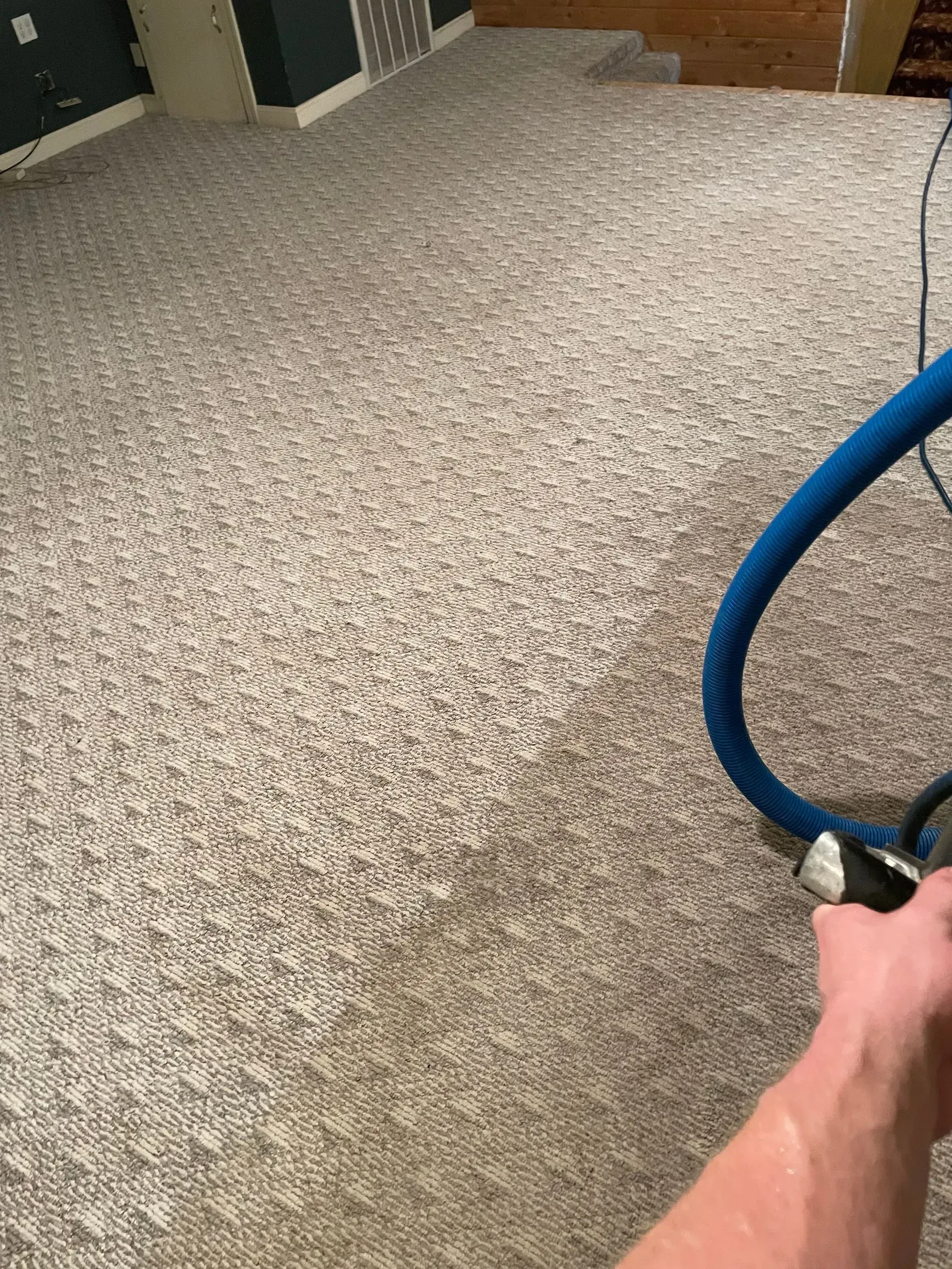 A person cleaning a beige carpet with a blue hose.