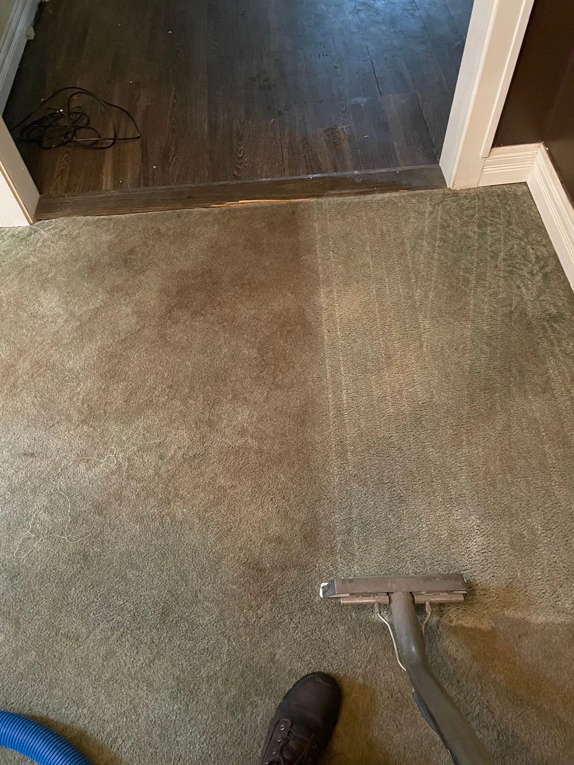Carpet cleaning in progress, showing a clean strip next to the dirty area, doorway in the background.