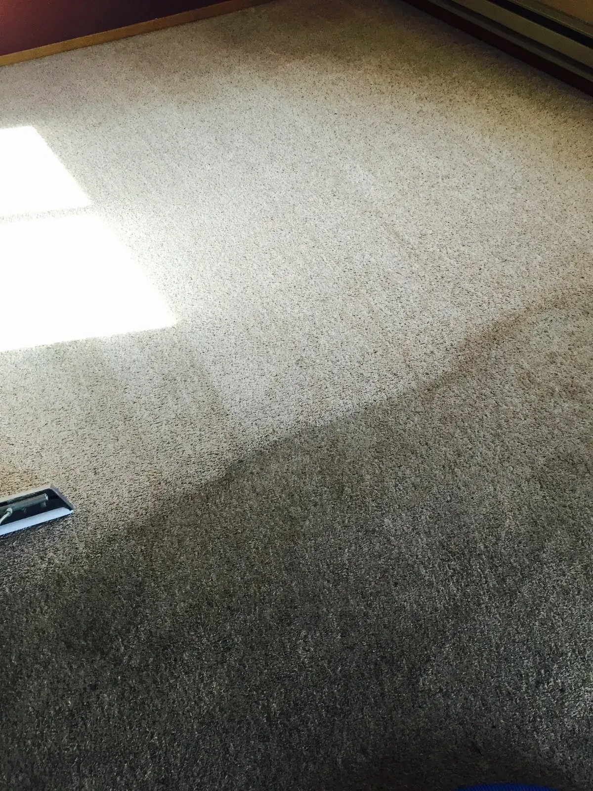 Carpet, half cleaned. Light tan speckled carpet, sunlit on the left, darker on the right.