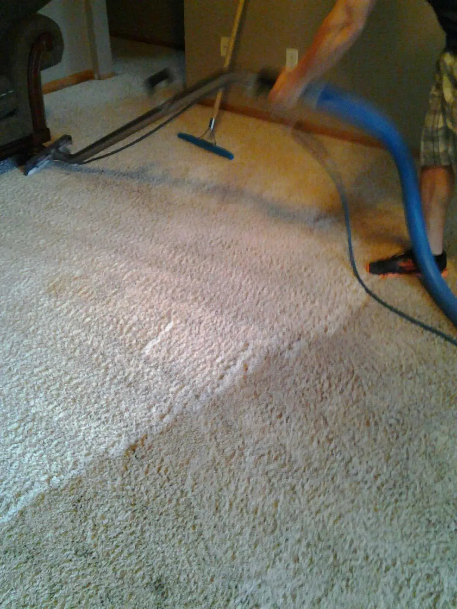 Carpet being cleaned; half the carpet is clean. A vacuum head is visible on the dirty side.
