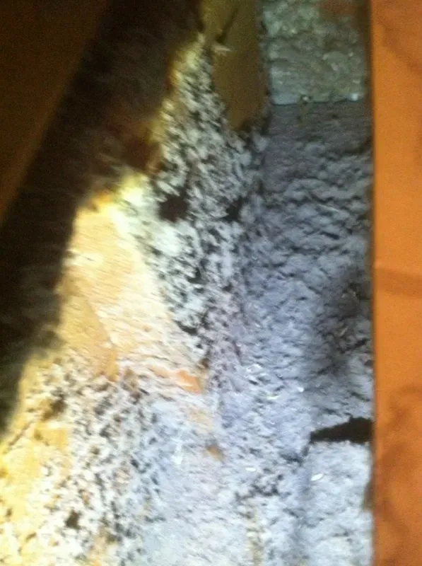 Insulation material in an attic space, with visible wooden beams, lit by a flashlight.