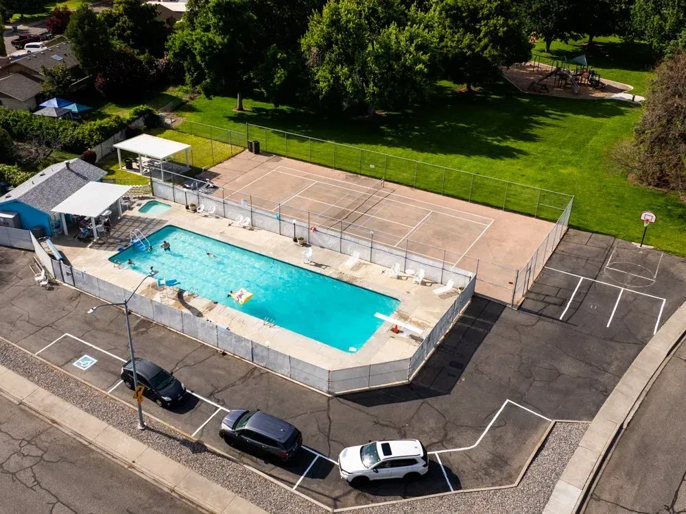 A group of people are swimming in a swimming pool.
