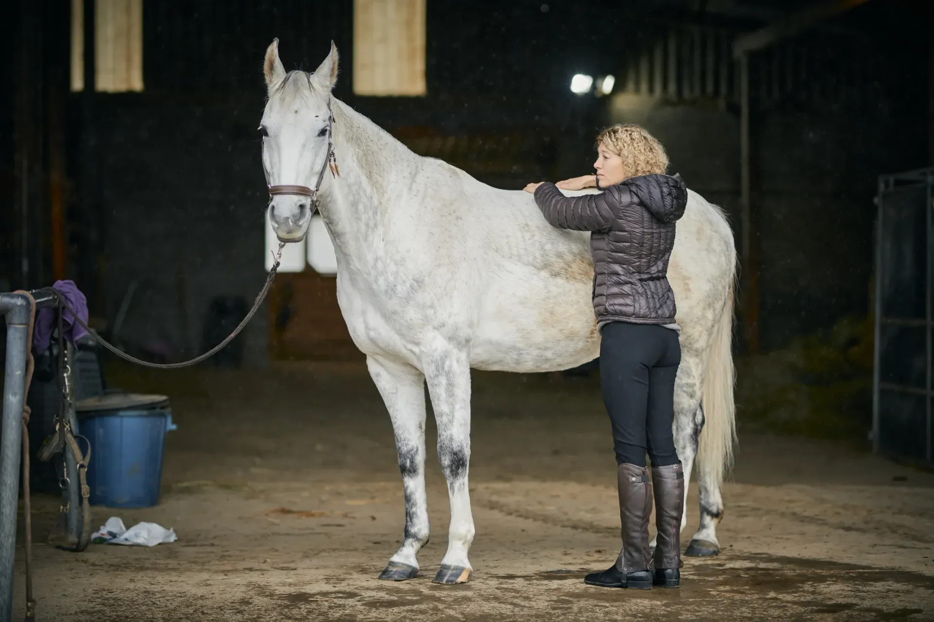 Une femme panse un cheval blanc dans une étable, vêtue d'un pantalon et de bottes foncés.
