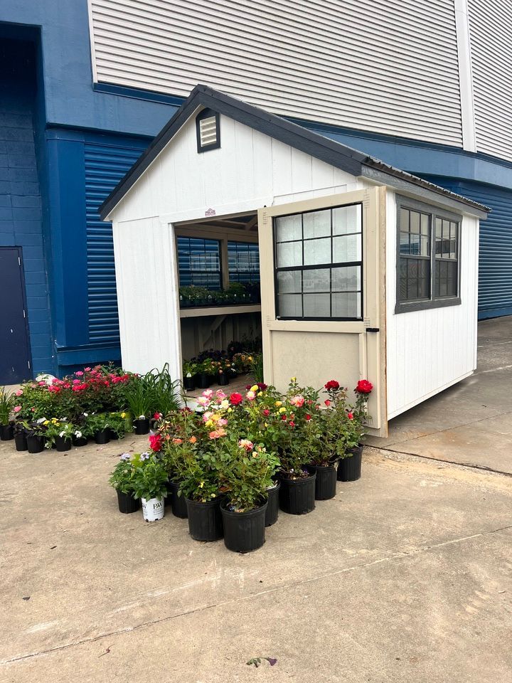 A white shed filled with potted plants in front of a blue building.