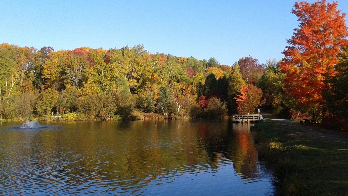 Lac d'automne aux arbres colorés et aux reflets limpides sous un ciel bleu