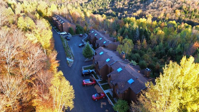 Vue aérienne d'un complexe d'appartements boisé avec des voitures garées et une route sinueuse sous la lumière d'automne