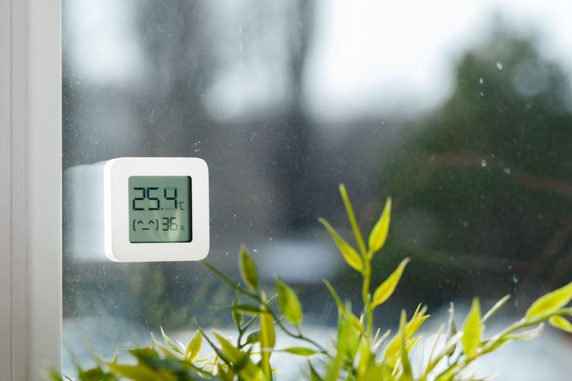White digital thermometer attached to a window, displaying 25.4°C and 17°F, with a blurry outdoor view.