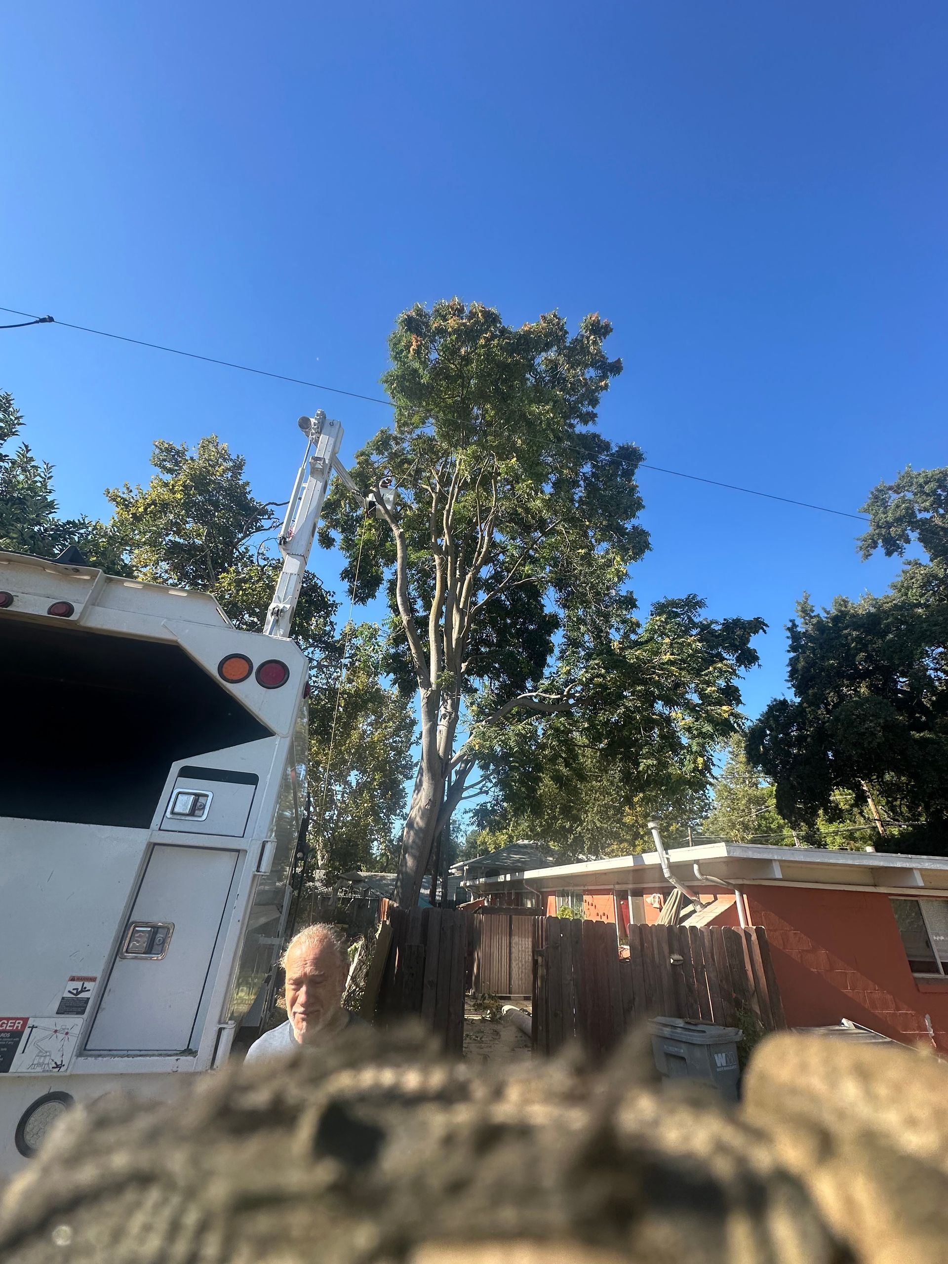 Man standing near a utility truck, tree in the background, clear blue sky.