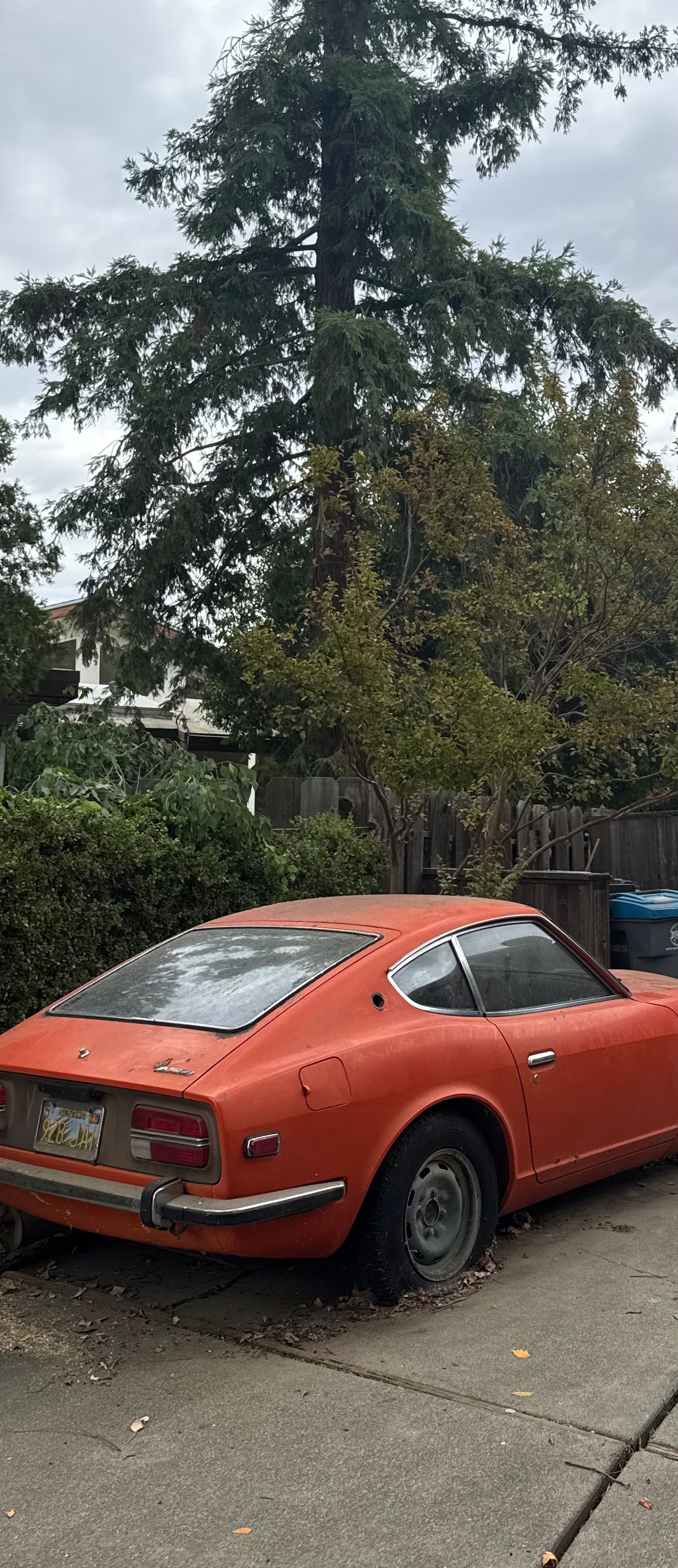 Orange Datsun sports car parked on a paved driveway, surrounded by trees and a cloudy sky.